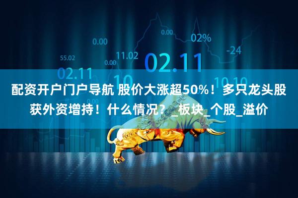 配资开户门户导航 股价大涨超50%！多只龙头股获外资增持！什么情况？_板块_个股_溢价